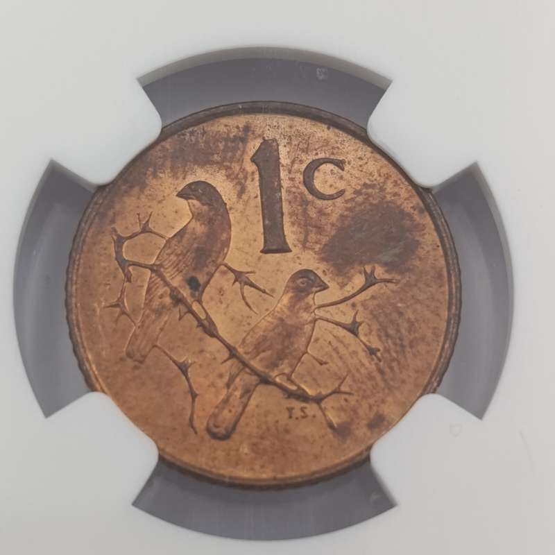 1965 RSA English 1 cent graded MS 64 RB by NGC - only 1180 minted