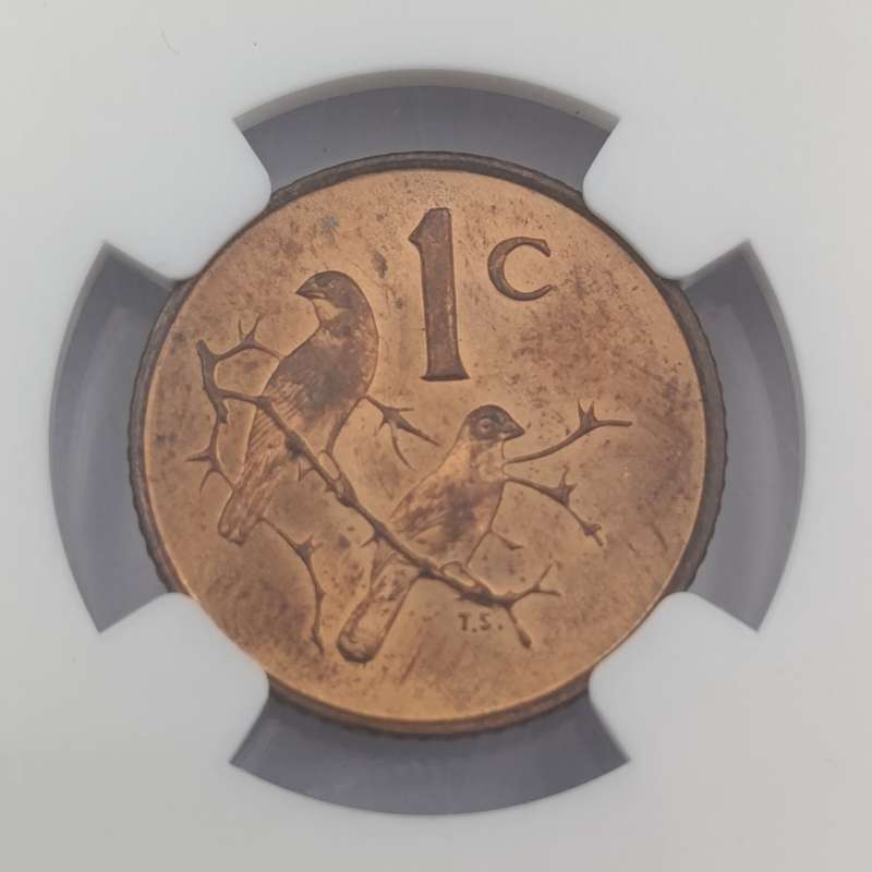 1965 RSA English 1 cent graded MS 64 RB by NGC - only 1180 minted