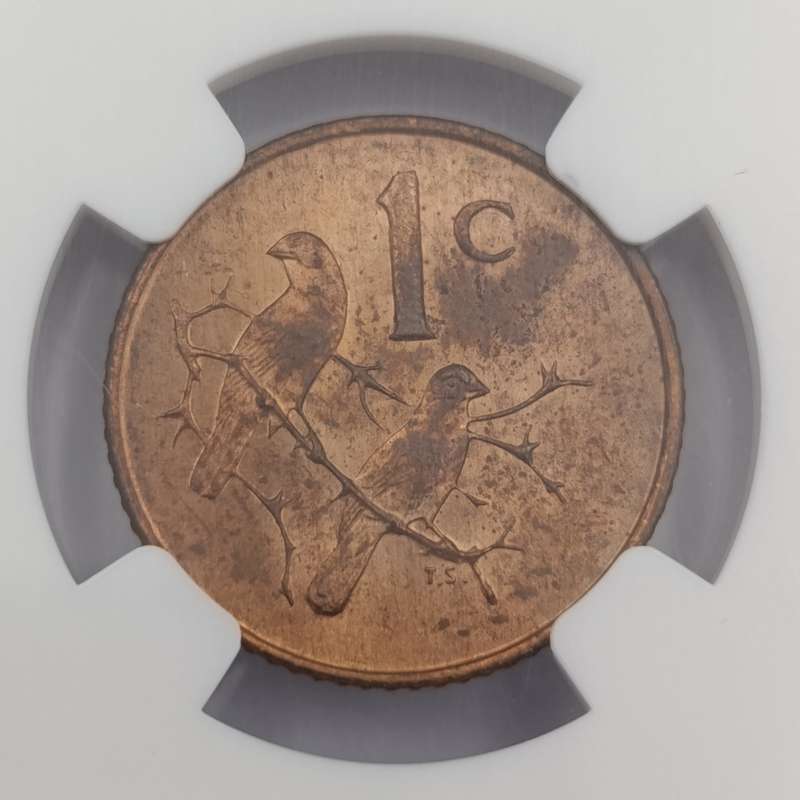 1965 RSA English 1 cent graded MS 63 RB by NGC - only 1180 minted