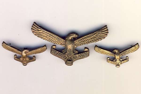 SA Air Force badge and two collar badges - lugs missing on Air force badge