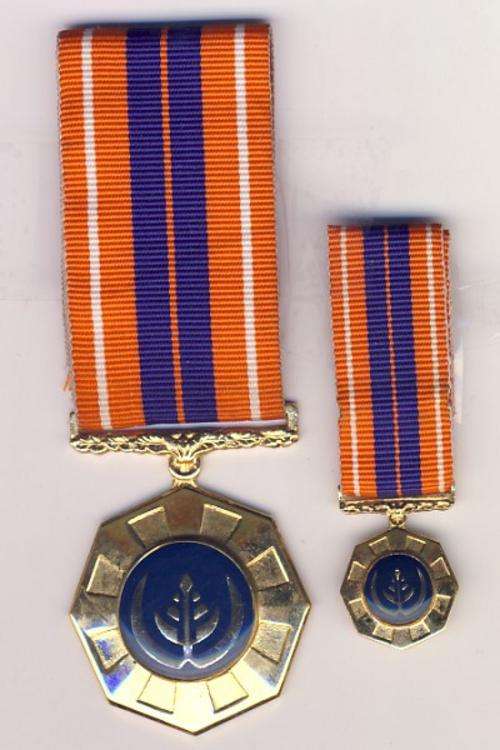 Pair of pro-patria medals - medal & miniature no. 226503 as per scan