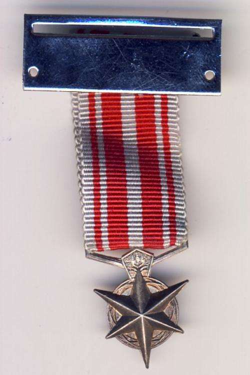 Police star combatting terrorism miniature (combatting with wrong spelling)