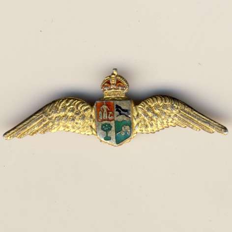 SAAF Silver wings - gilded