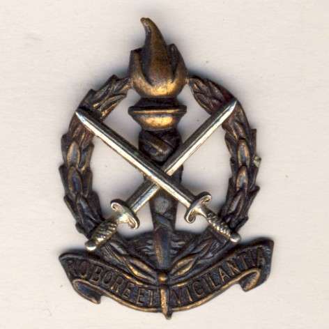 SA Regiment Schoonspruit bi-metal collar badge