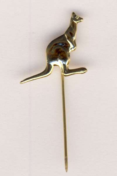 Pin with Kangaroo as per scan