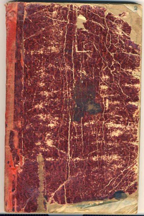 A piece of Africana  - Permission Book of Komdt PJ Davidtz - 1915 REBELLION