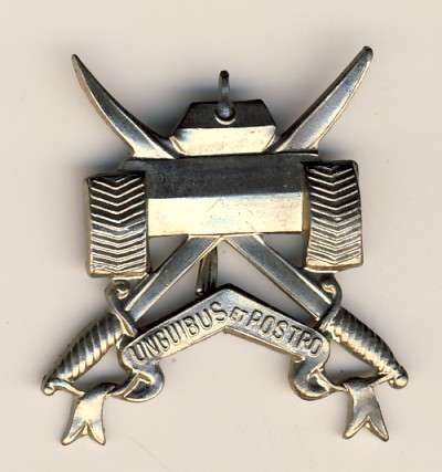 Belgium Beret badge Recce Squadrons - as per scan