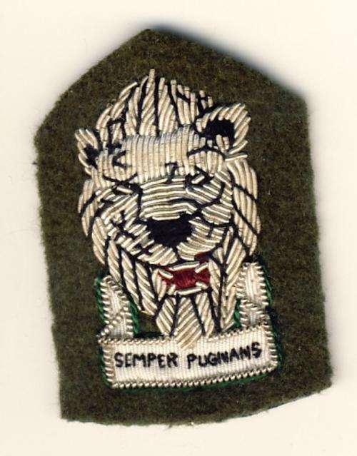S.W.A. C777 - Territory Reaction Force Army Officers Beret badge - Green