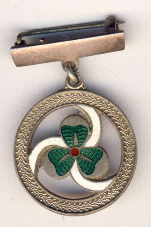Hallmarked sterling silver three leafed clover brooch CRAZY WEDNESDAY