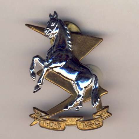 SA Army Technical service corps cap badge as per scan