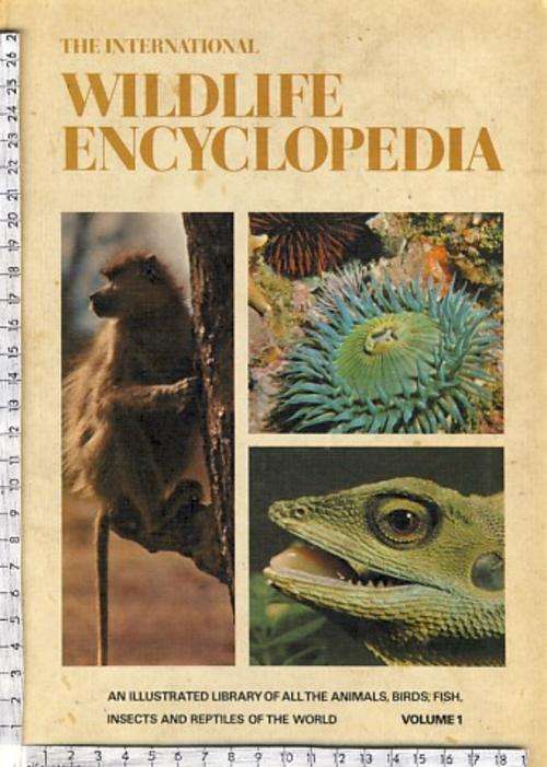 Lot of 9 Books - YOU BID PER BOOK TO TAKE ALL - as per scan