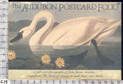 The Audubon Postcard Folio - @@@ Crazy R1 Start