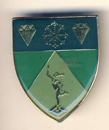 S.W.A. 1 Signal Regiment pocket flash - as per scan
