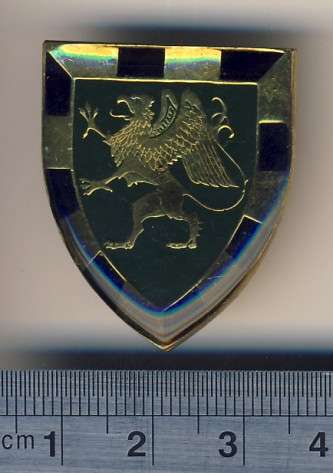 SA Infantry BN. Gold type Fob flash - as per scan