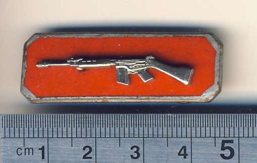 Army Small Arms Competition Qualification bar - as per scan