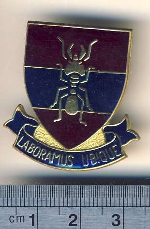 1 Construction Regiment Affiliation Fob flash - as per scan