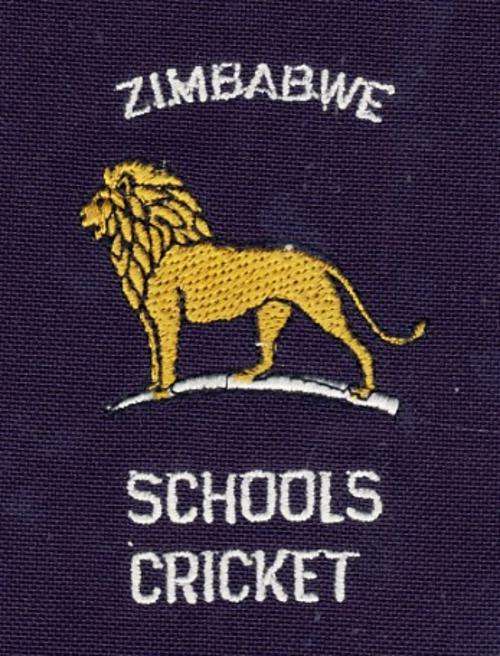Zimbabwe Schools cricket blazer badge - 17 x 18cm -  as per scan