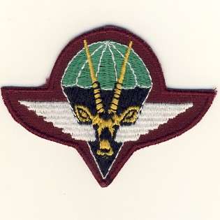SWA C820 Paratroop embroidered beret badge Last issue @@@ Crazy R1 Start