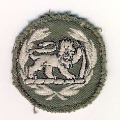 Rhodesian Army Warrant Officer Class 2 Rank Badge
