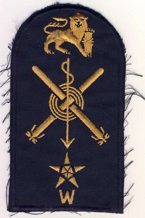 SA Navy Able Seaman, Sonar Torpedo man ( Weapons )