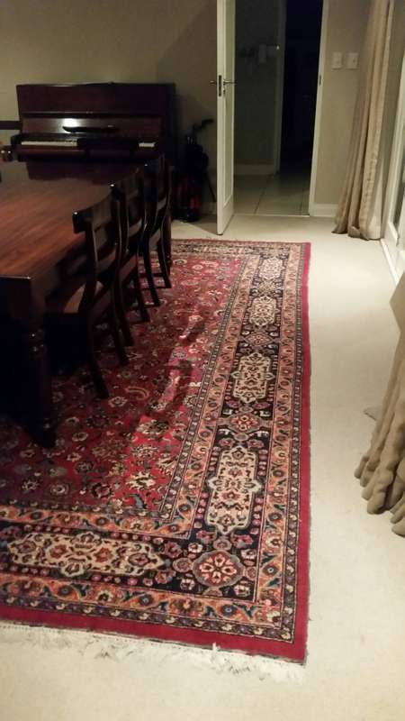 Large Carpet