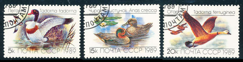Russia - 1989 - Ducks - set of 3 fine used - SG 6011-6013