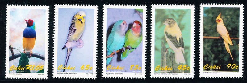Ciskei - 1993 - Gage & Aviary Birds - set of 5 mint unhinged . SACC 233-237 .