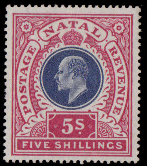 Natal. - 1902-1903 - Edw 7. - 5s unused no gum fresh colours.