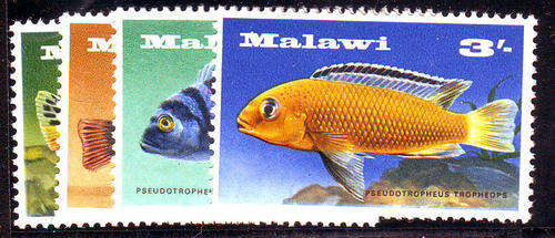 Malawi - 1967 - Fish - set of 4 mint unhinged.