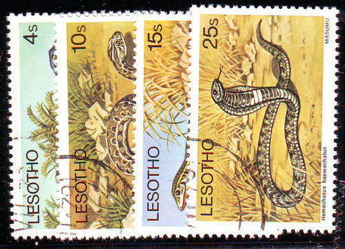 Lesotho - 1979 - Reptiles - set of 4 fine used.
