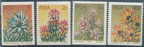 South Africa - 1977 - Protea Defins - set of 4 coil stamps mint unhinged (SACC 435-438).