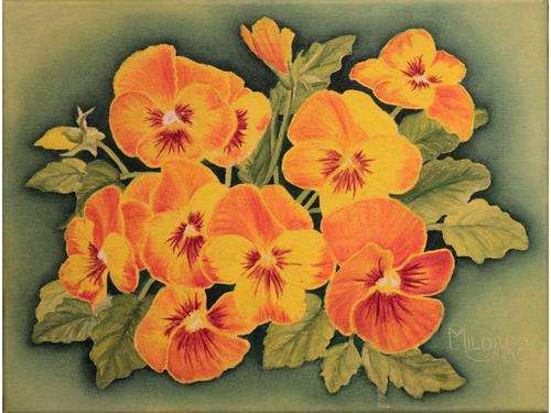 Poppies by Mildred Davidson