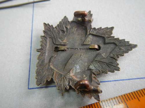WW1 Canadian CEF British Columbia Regiment Bi-metal cap badge