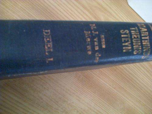 MARTHINUS THEUNIS STEYN DEEL 1 1921