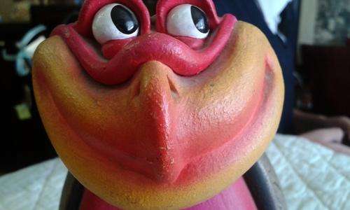 Very Collectible Funny Birds of Knysna