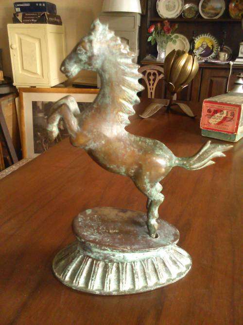 Stunning Bronze Horse