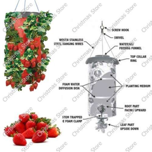 Upside Down Strawberry Planter