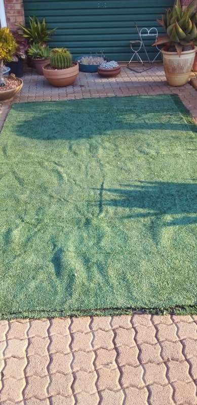 Artifical Grass 1.950m x 3.2m