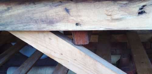 A Massive Wood Work Bench (READ DESCRIPTION)
