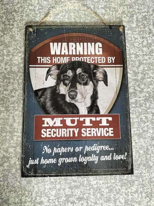 Dog Warning Sign
