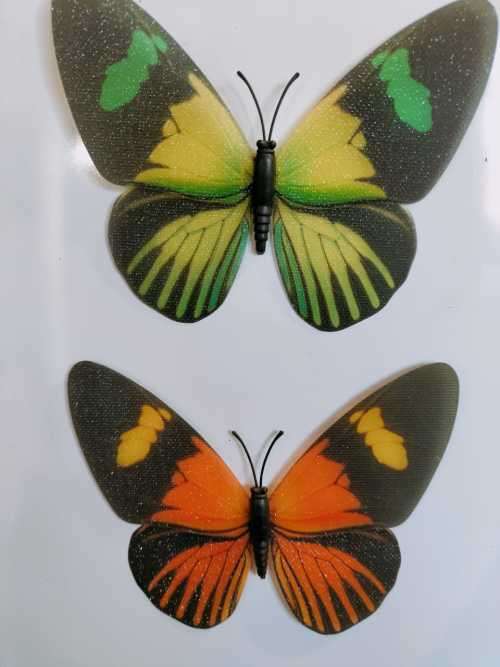 2 Stunningly Beautiful Butterfly Fridge Magnets.