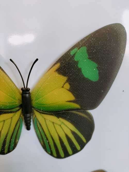 2 Stunningly Beautiful Butterfly Fridge Magnets.