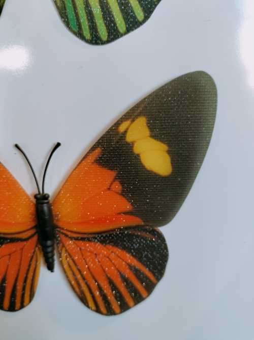 2 Stunningly Beautiful Butterfly Fridge Magnets.