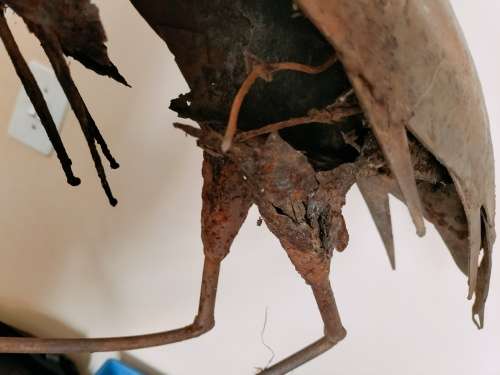 Very Well Made Rusted Metal Garden Bird Decoration (3 of 3)