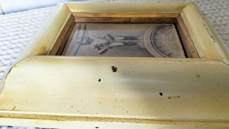 Magnificent Vintage Framed Photo Of Mannekin Piss