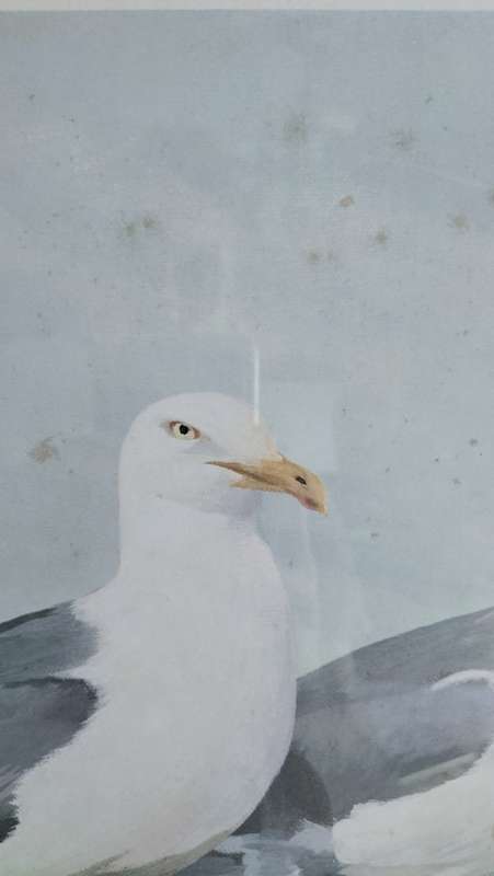 Stunningly Beautiful Framed Original Jacqueline Penney Watercolour Print On Board