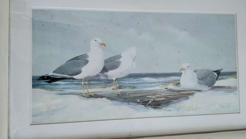 Stunningly Beautiful Framed Original Jacqueline Penney Watercolour Print On Board