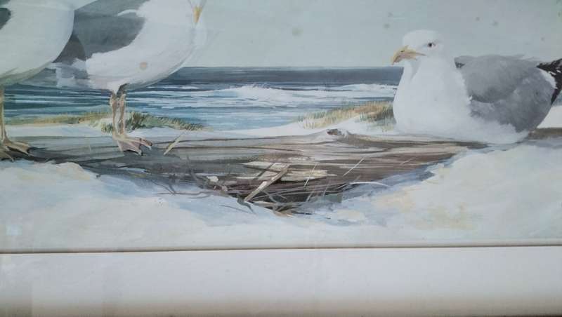 Stunningly Beautiful Framed Original Jacqueline Penney Watercolour Print On Board