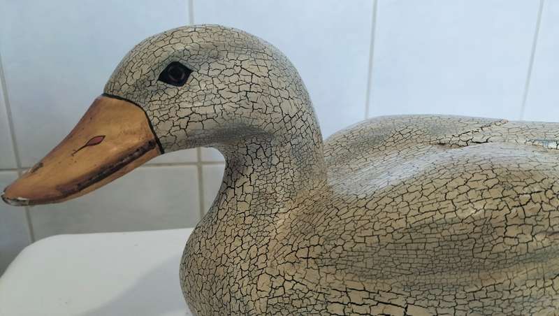 Magnificent Large Carved Wooden Duck