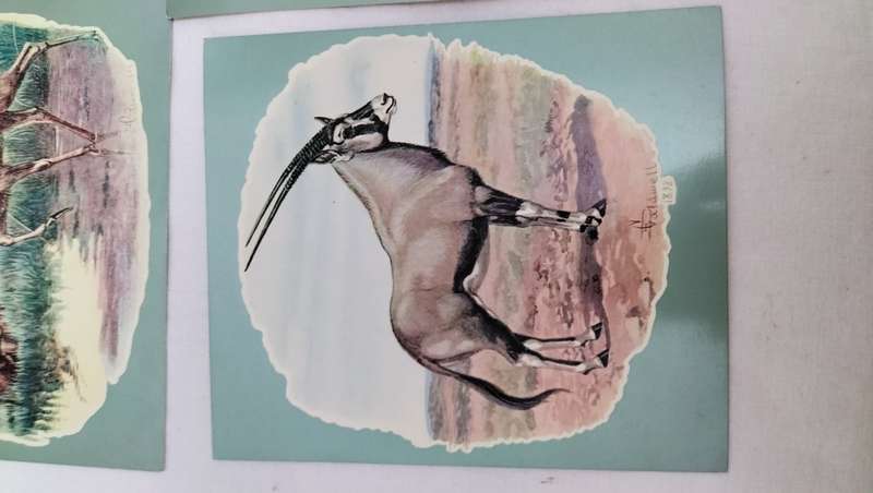 Collection of 8 Large Unused Vintage South African Postcards depicting art by Edmund Caldwell